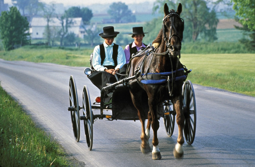 Unveiling the Charm: Discover the Best Amish Tour Experiences in Lancaster, PA