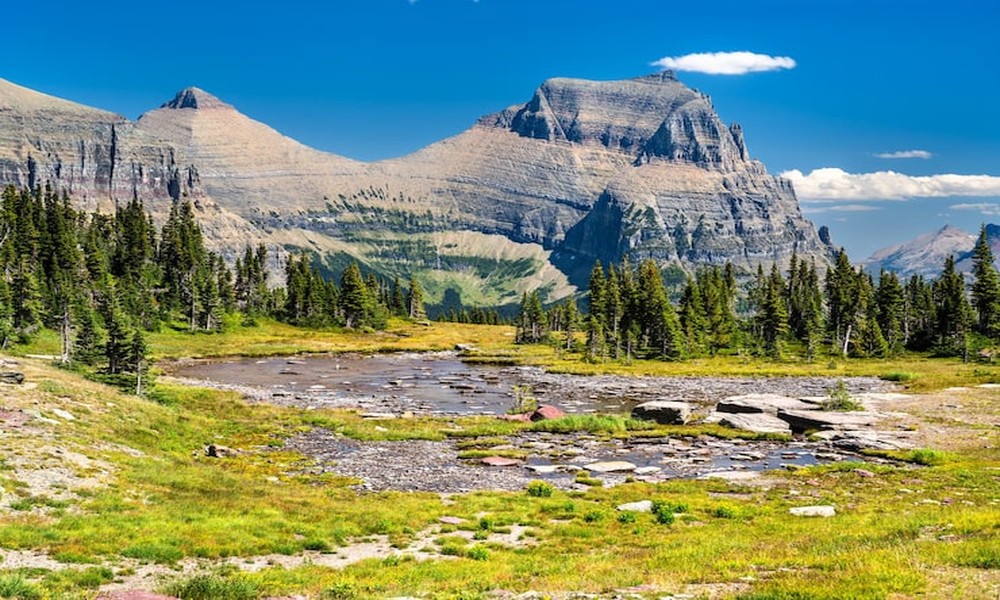 Bozeman Car Rental Tips for Yellowstone, Camping, and Beyond